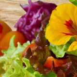 kat_salat
